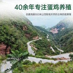 天凯太行山顶散养可生食有机鸡蛋（1.1kg/30枚）