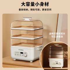 HYUNDAI 韩国现代电蒸锅 AEM-DZG6