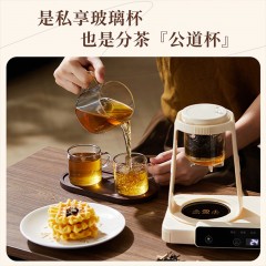 艾贝丽左杯250mL 右杯600mL 双杯养生壶 ABL-YSH624  6972149935250  偏远地区额外补运费