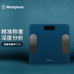 【集采6】西屋(westinghouse)T201体脂秤