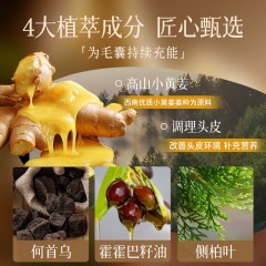 卓蓝雅生姜防脱洗发水400ml+防脱精华液50ml（10号 镇店款）