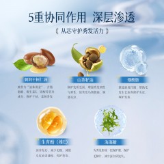 卓蓝雅生姜防脱洗发水800ml+美容发膜250ml