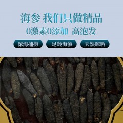 首粮鲜灵岛--印尼干海参（淡干）100g 6976389950110