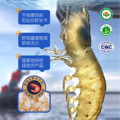 首粮有机盐田香虾600g 6976619020156