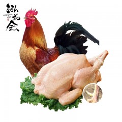 泓花会生鲜谷物散养大公鸡单只4-4.5斤 1只装 6974644230151  顺丰包邮 偏远另加运费