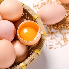 泓花会橘林散养谷饲土鸡蛋泡沫+谷壳+纸箱40枚（单枚45克左右）6974644230588 偏远另加运费