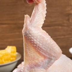 泓花会谷物新鲜散养土鸡（700-750克/只）3只装 6974644230823 顺丰包邮 偏远另加运费