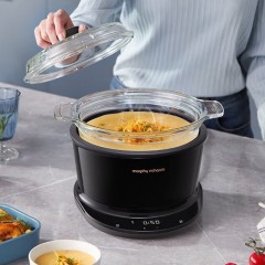 摩飞电器（Morphyrichards）多功能锅电炖锅 养生锅电火锅 家用电炖盅煲汤锅炖汤盅煮粥神器煲粥专用锅 MR9082  3.5L