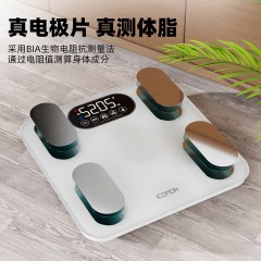 沃莱智能体脂秤FIT01充电款 6928812699479