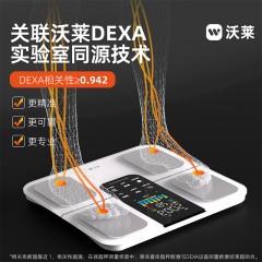 沃莱智能体脂秤S5电池款 6928812668451