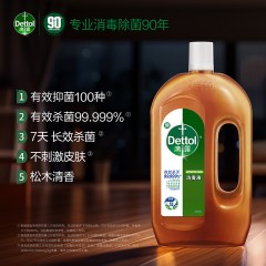 滴露消毒液1.2L 6974352530192