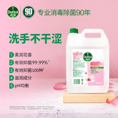 滴露抑菌洗手液 滋润倍护 5L 6974352531502