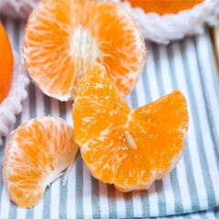 【绿色】云南高原沃柑（虎柑）5斤装大果净重4.5斤装