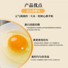 竹林蛋40g乌鸡蛋30枚ZLD40GWJD30MLHZZM【珍】6972018860362