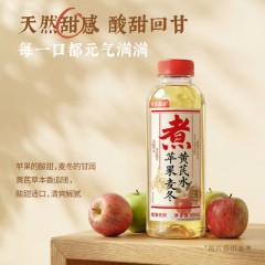 可可满分苹果麦冬黄芪水500ml*15瓶6974139943542