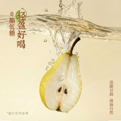 可可满分小吊梨汤450ml*5瓶ZH2025122501