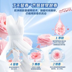 水卫仕粒粒净三腔洗衣凝珠三合一216g 持久留香除菌除螨三合一洗衣液往日玫瑰 18颗*1袋 6973688404160