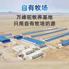 英格苏内蒙古双峰红驼骆驼奶粉 全家高钙益生菌驼乳粉 成人高钙奶粉300g 15g*20条 6975034839954