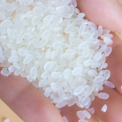 中粮皇家粮仓天下米行精选东北大米2.5kg 6944910369083 普通快递