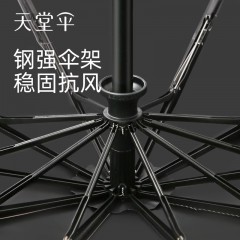 天堂31171E风雅雨伞  金融时报集采专用