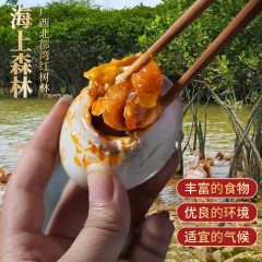 丁山河北海海鸭蛋70g*20枚1400g 6974448190927