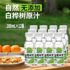 版纳雨林 NFC白桦树水280ml*12瓶 6959669601056