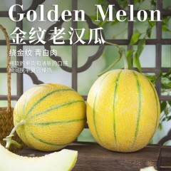 新疆吐鲁番金纹老汉瓜 8-9斤（2枚）