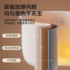 山水（SANSUI）多功能电压力锅SF02 象牙白 4L 6977228200014