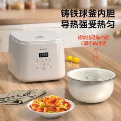 山水（SANSUI）智能球釜珐琅内胆低糖电饭煲SF-SZ202 象牙白 2.8L 6972567190781