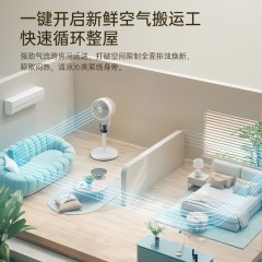 HYUNDAI现代 循环扇  FLD-02JX（机械款） 6975975071123  偏远另加运费