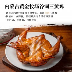 紫光园大漠风干鸡 500g t6971126786366