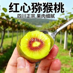 红心猕猴桃大果20枚【90-110g】