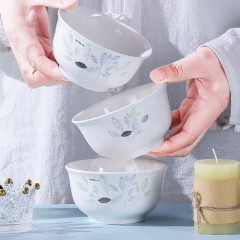 爱依瑞斯22头陶瓷餐具AS-D2216H清新怡人  新疆西藏不发货