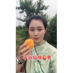 丫吉大桃 平谷黄油桃 果王 净重5斤 有机绿色水果  新疆西藏不发 其它包邮