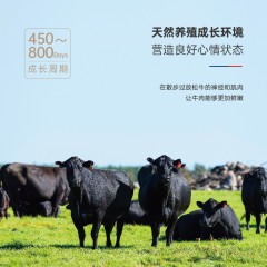 澳益多澳洲进口牛排礼盒（198型）