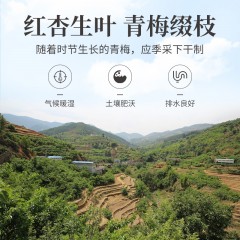 【方家铺子】乌梅280g/瓶装