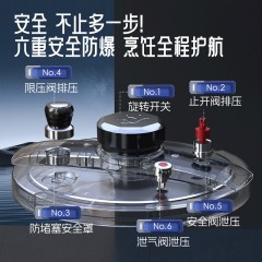 帝伯朗花样系列 辰星多功能压力锅  偏远另加运费