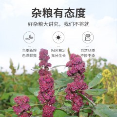 【方家铺子】三色藜麦米400g/瓶装