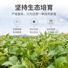 【方家铺子】有机黑豆450g/米砖