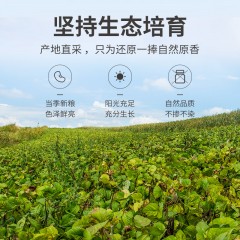 【方家铺子】有机红小豆500g/米砖