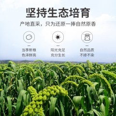 【方家铺子】有机黄小米500g/米砖