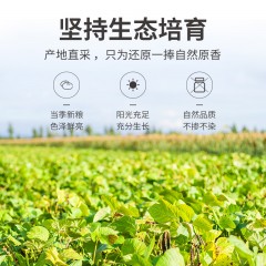 【方家铺子】有机绿豆500g/米砖