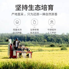 【方家铺子】有机糯米500g/米砖