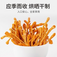 【方家铺子】蛹虫草50g/瓶装