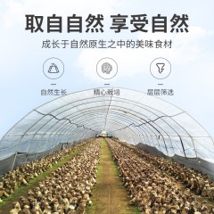 【方家铺子】猴头菇50g/袋装