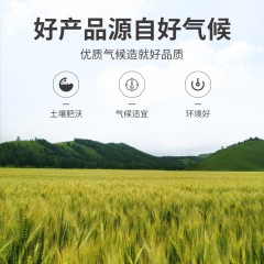 【方家铺子】大麦茶230g/瓶装