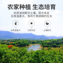 【方家铺子】海盐黑胡椒70g/瓶装