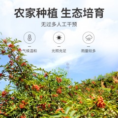 【方家铺子】花椒100g/瓶装