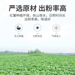 【方家铺子】红薯粉条508g/袋装