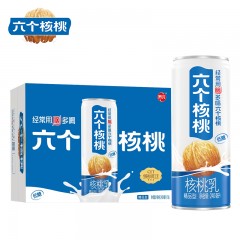 精品型六个核桃240ml*16码6908471010617